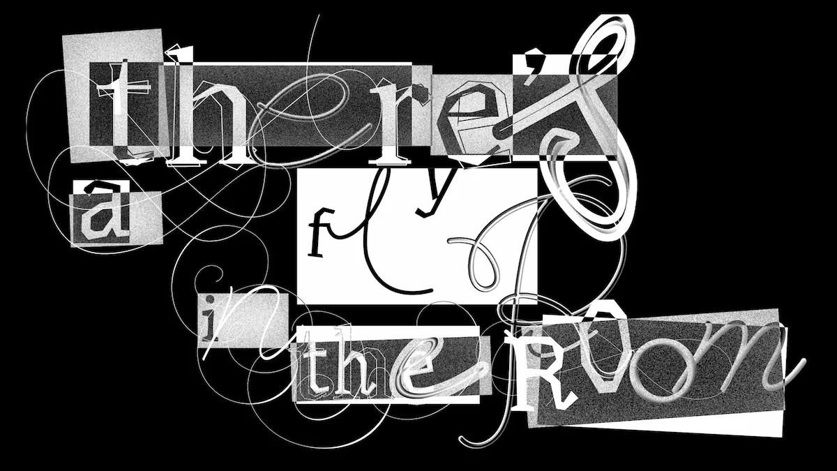 There's a fly in the room